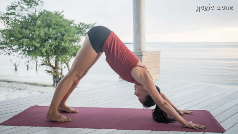 A lady practicing Adho Mukha Svanasana as her Iyengar Yoga for beginners routine. Blog by staging.yogiczone.com
